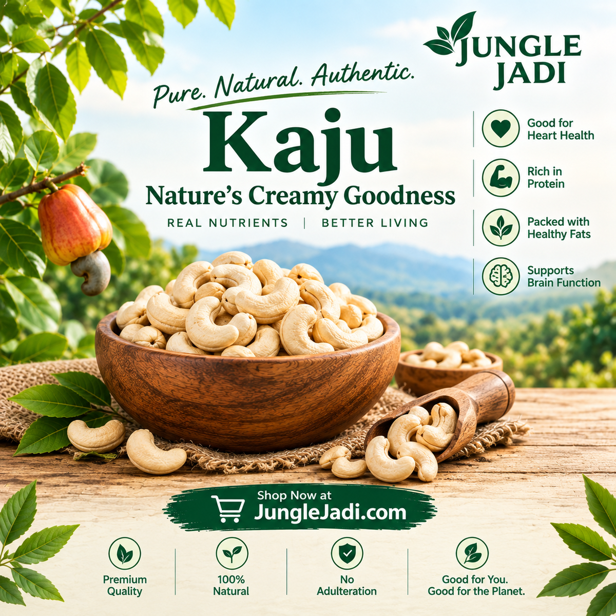Cashews - Kaju