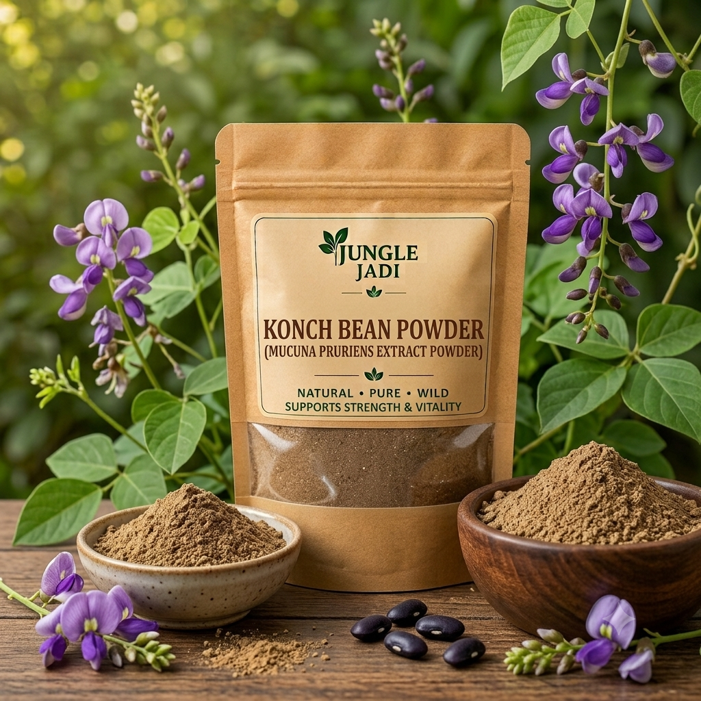 Konch Seeds Powder